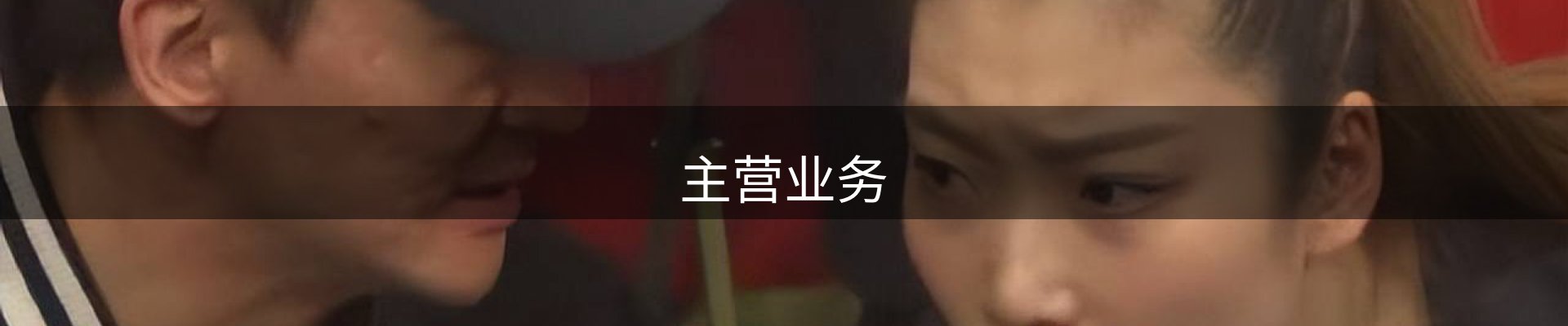 主营业务